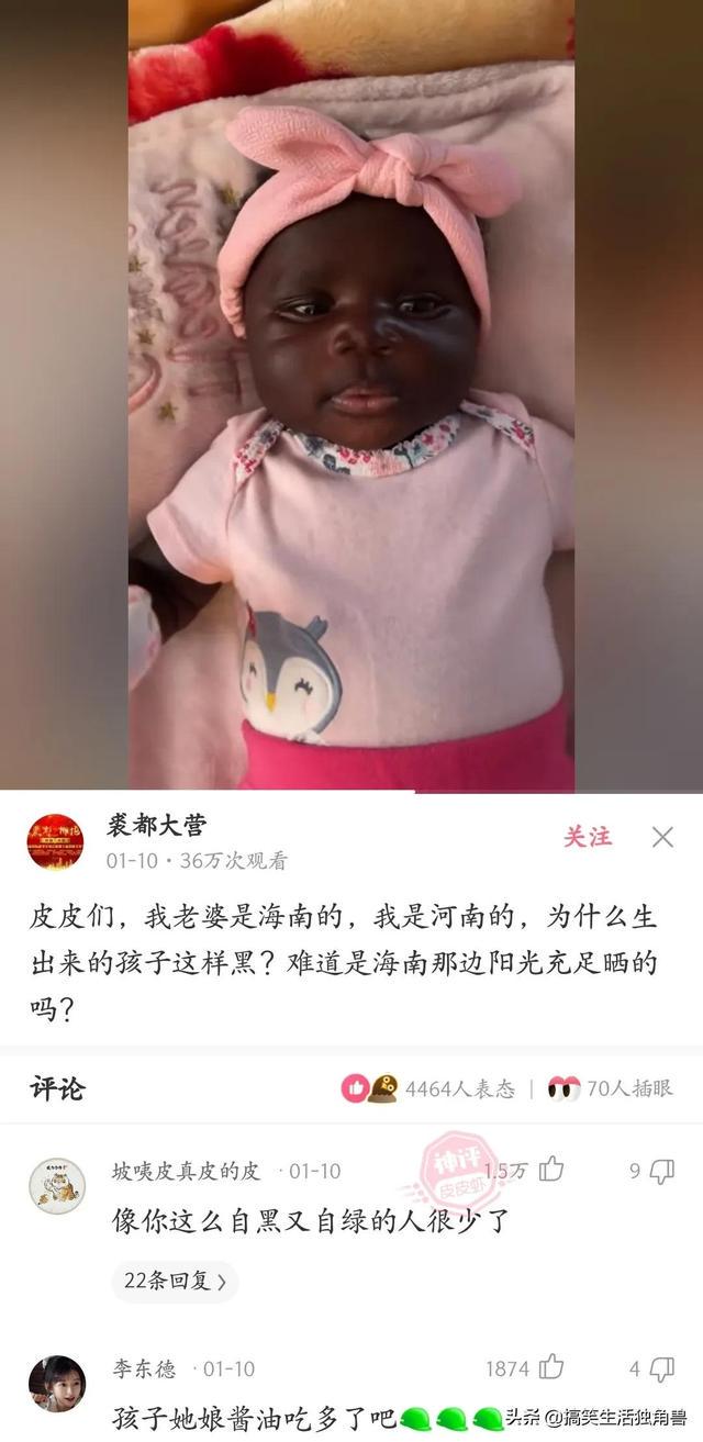 神回复:一年前花了一千八买了只柴犬,现在感觉越来越不对劲 神回复:一年前花了一千八买了只柴犬,现在感觉越来越不对劲
