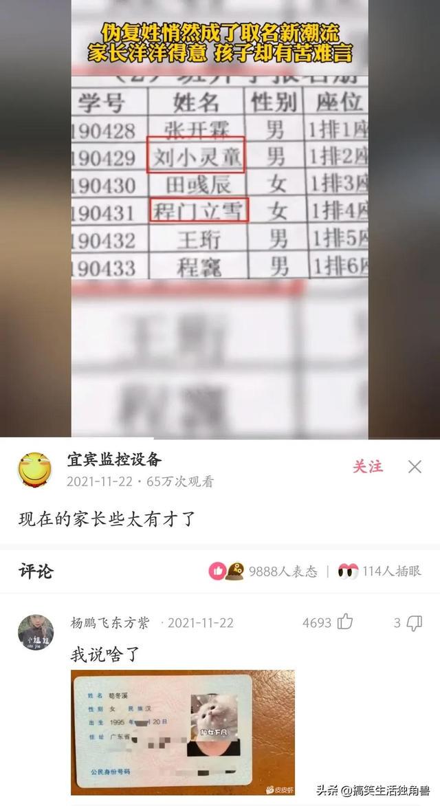 神回复:一年前花了一千八买了只柴犬,现在感觉越来越不对劲 神回复:一年前花了一千八买了只柴犬,现在感觉越来越不对劲