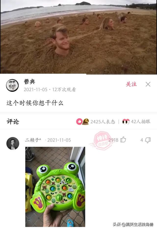 神回复:一年前花了一千八买了只柴犬,现在感觉越来越不对劲 神回复:一年前花了一千八买了只柴犬,现在感觉越来越不对劲