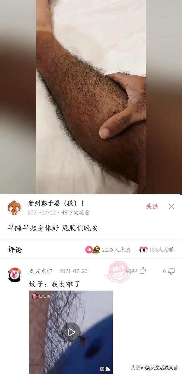 神回复：一年前花了一千八买了只柴犬，现在感觉越来越不对劲