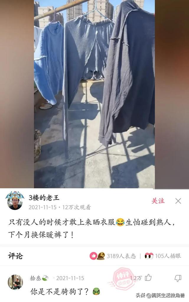 神回复：一年前花了一千八买了只柴犬，现在感觉越来越不对劲