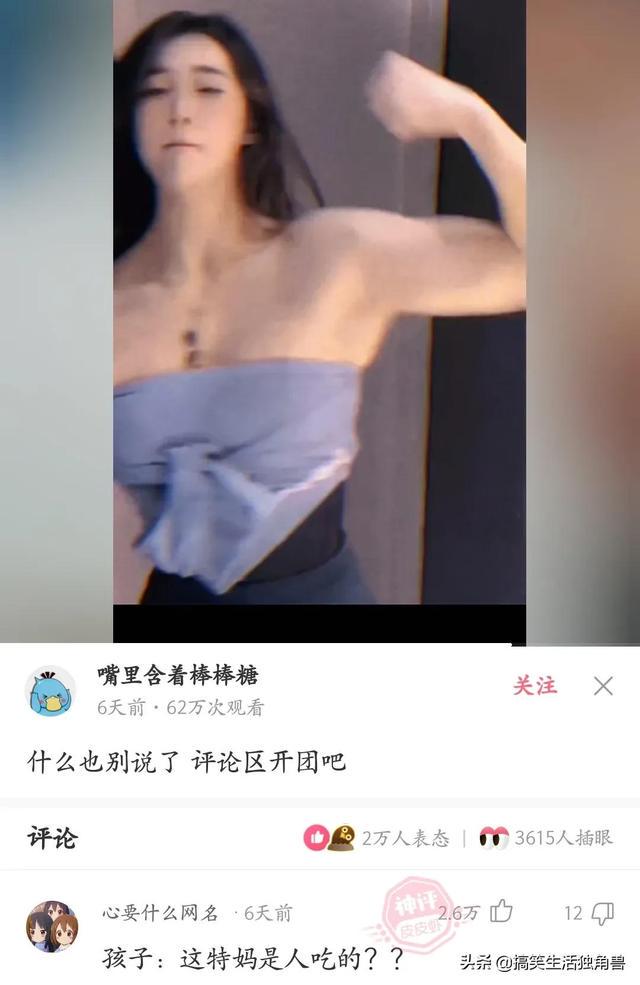 神回复:一年前花了一千八买了只柴犬,现在感觉越来越不对劲 神回复:一年前花了一千八买了只柴犬,现在感觉越来越不对劲