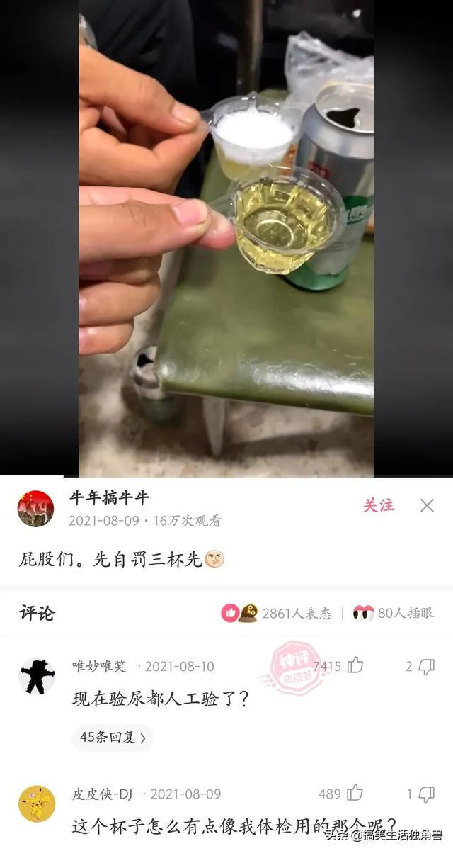 神回复：一年前花了一千八买了只柴犬，现在感觉越来越不对劲