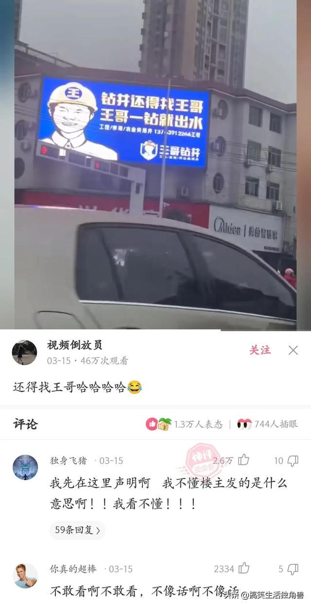 神回复:一年前花了一千八买了只柴犬,现在感觉越来越不对劲 神回复:一年前花了一千八买了只柴犬,现在感觉越来越不对劲