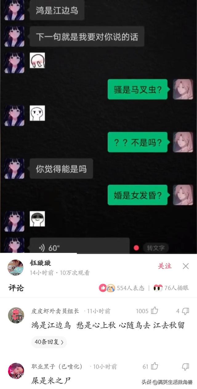 神回复:一年前花了一千八买了只柴犬,现在感觉越来越不对劲 神回复:一年前花了一千八买了只柴犬,现在感觉越来越不对劲