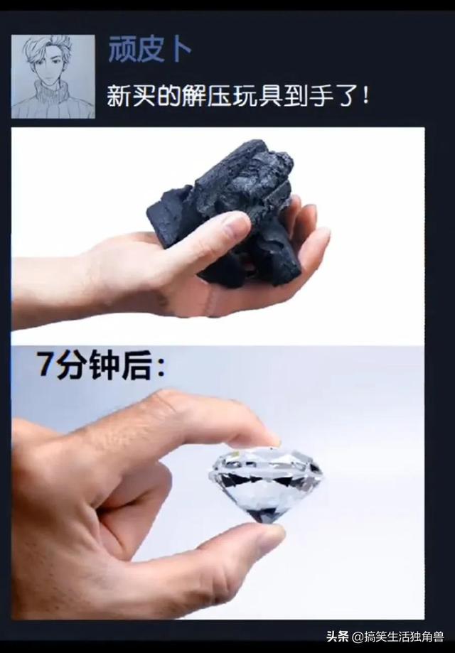 神回复:一年前花了一千八买了只柴犬,现在感觉越来越不对劲 神回复:一年前花了一千八买了只柴犬,现在感觉越来越不对劲