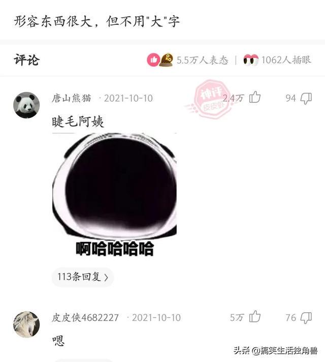 神回复:一年前花了一千八买了只柴犬,现在感觉越来越不对劲 神回复:一年前花了一千八买了只柴犬,现在感觉越来越不对劲
