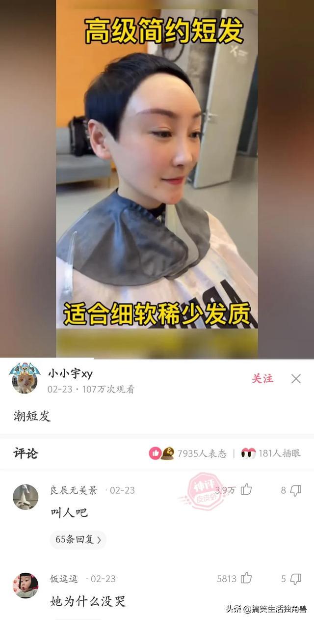 神回复:一年前花了一千八买了只柴犬,现在感觉越来越不对劲 神回复:一年前花了一千八买了只柴犬,现在感觉越来越不对劲