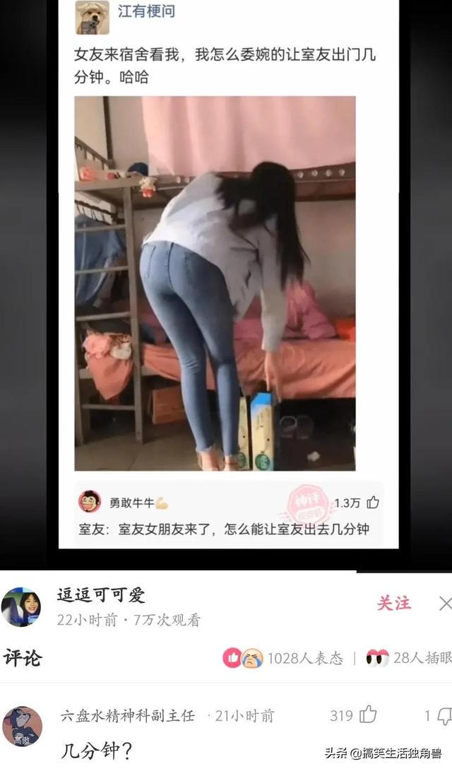 神回复:一年前花了一千八买了只柴犬,现在感觉越来越不对劲 神回复:一年前花了一千八买了只柴犬,现在感觉越来越不对劲