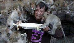 大爷你的表情好可怜呀！