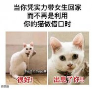 出息一把图片 出息一把图片