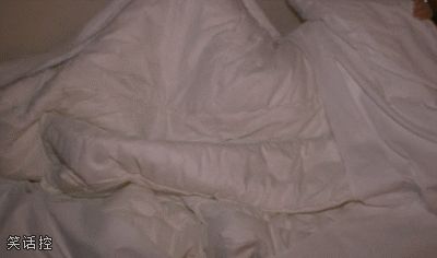 睡觉不老实,老是踢被子! 睡觉不老实,老是踢被子!
