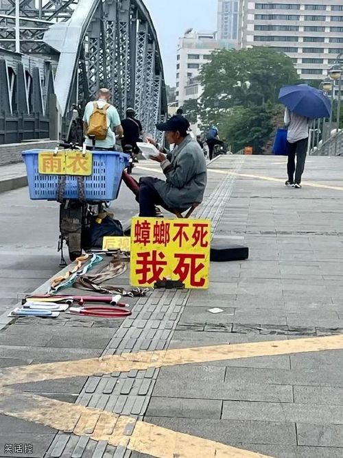 这蟑螂药一定很厉害吧