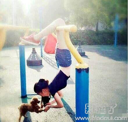 小汪汪主人出来锻炼 小汪汪主人出来锻炼