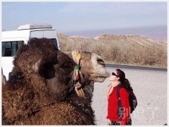 我来亲亲你吧,嘿嘿 我来亲亲你吧,嘿嘿