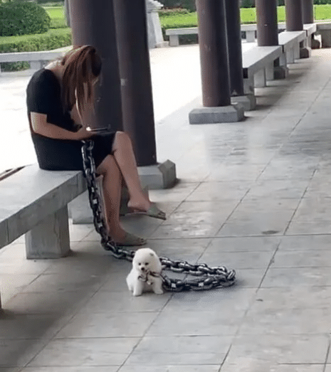 小伙和“极品”富婆的聊天记录流出…贫穷限制了我的想象哈哈哈哈! 小伙和“极品”富婆的聊天记录流出…贫穷限制了我的想象哈哈哈哈!