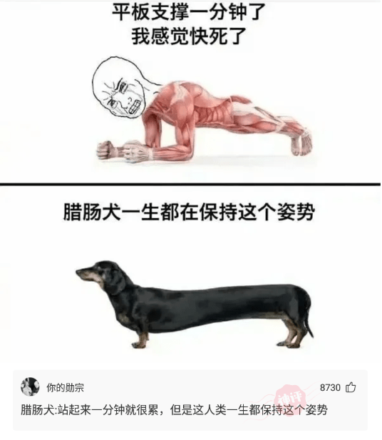 神回复:我就觉得一个男人不赌不毒不涉黄,他就坏不到哪去。 神回复:我就觉得一个男人不赌不毒不涉黄,他就坏不到哪去。