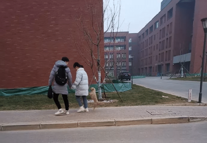 “原来应该这样追妹子啊!哈哈哈哈终于知道为啥光棍多年了……” “原来应该这样追妹子啊!哈哈哈哈终于知道为啥光棍多年了……”