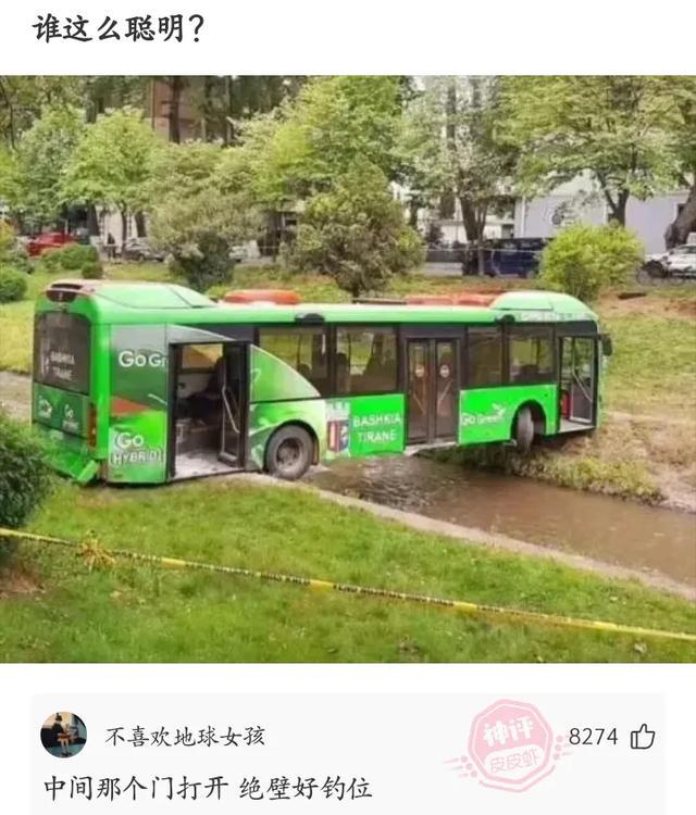 神回复:怎么才能摸鱼? 神回复:怎么才能摸鱼?