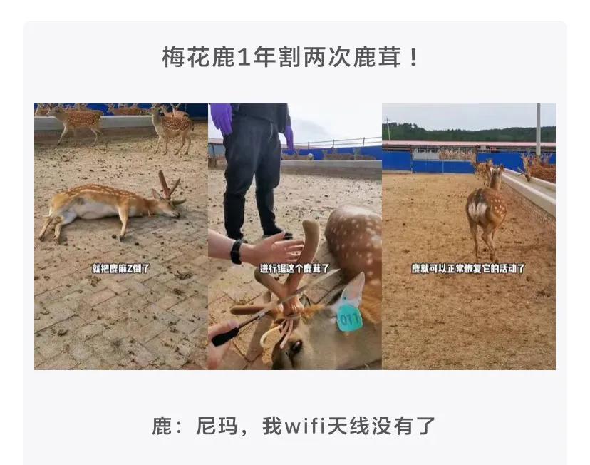 “1到9最舒服的坐姿是什么?”每一个都尝试过的举个手哈哈哈哈 “1到9最舒服的坐姿是什么?”每一个都尝试过的举个手哈哈哈哈
