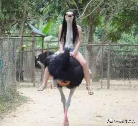 搞笑趣图 女同事约我去打台球,结果我输了一晚上 搞笑趣图 女同事约我去打台球,结果我输了一晚上