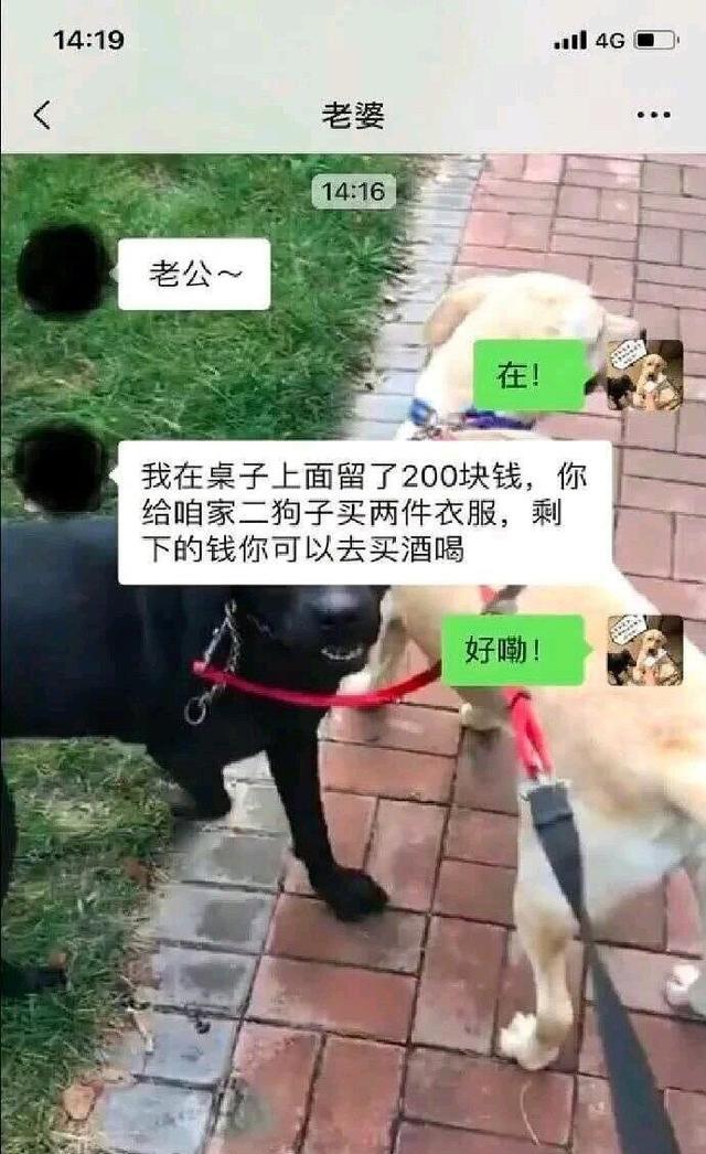 盘点那些让人“喷饭”的图片，发出来让大家开心一下