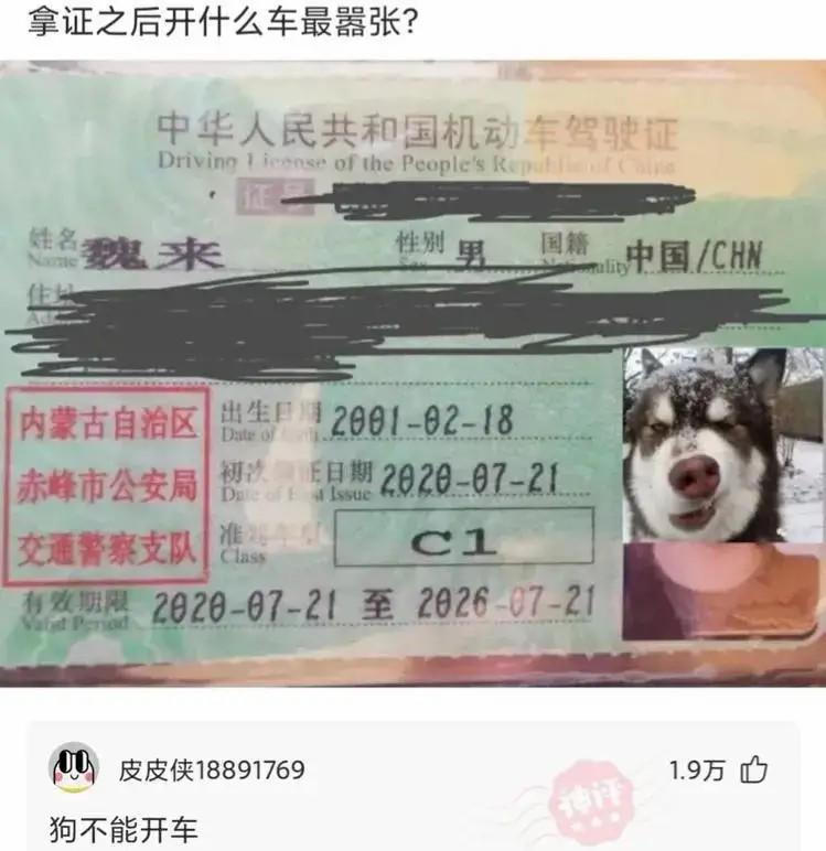 好像知道成吉思汗为啥干到欧洲了!中间的大哥一米八!哈哈哈哈哈哈!!! 好像知道成吉思汗为啥干到欧洲了!中间的大哥一米八!哈哈哈哈哈哈!!!