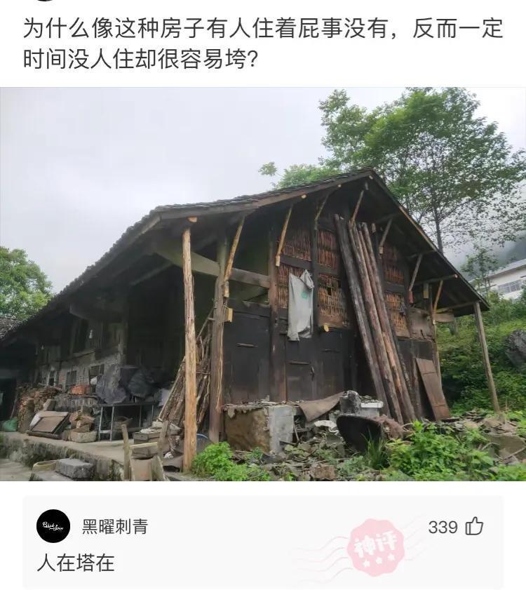 好像知道成吉思汗为啥干到欧洲了!中间的大哥一米八!哈哈哈哈哈哈!!! 好像知道成吉思汗为啥干到欧洲了!中间的大哥一米八!哈哈哈哈哈哈!!!