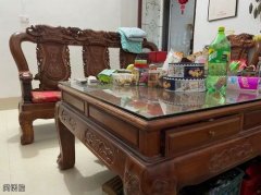 见过最会隐身的狗子