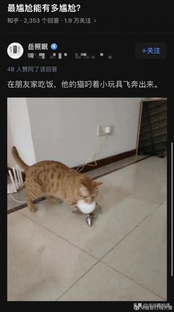 每日爆笑囧图神评论大赏:倒…倒…倒…停!好嘞,诶呀我这推背感 每日爆笑囧图神评论大赏:倒…倒…倒…停!好嘞,诶呀我这推背感