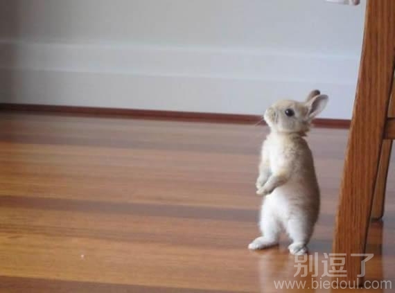 渴望有一天,我也可以挺胸昂头 渴望有一天,我也可以挺胸昂头