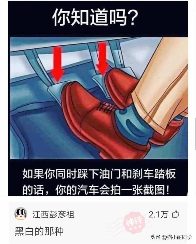 “老鼠贴粘到的,吃了不会犯法吧?”网友:争取死缓吧!哈哈哈 “老鼠贴粘到的,吃了不会犯法吧?”网友:争取死缓吧!哈哈哈
