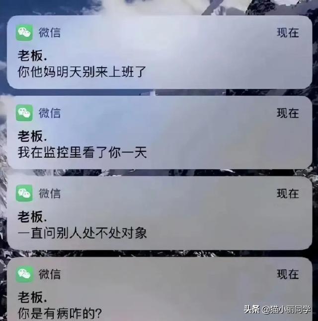 “老鼠贴粘到的,吃了不会犯法吧?”网友:争取死缓吧!哈哈哈 “老鼠贴粘到的,吃了不会犯法吧?”网友:争取死缓吧!哈哈哈