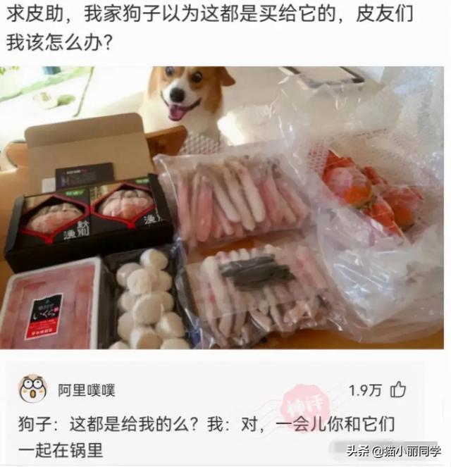 “老鼠贴粘到的，吃了不会犯法吧？”网友：争取死缓吧！哈哈哈