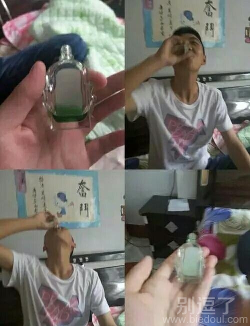 哥们,给你个最佳勇气奖 哥们,给你个最佳勇气奖
