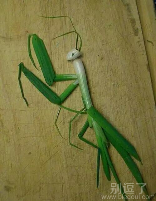 大葱有了新出路了 大葱有了新出路了