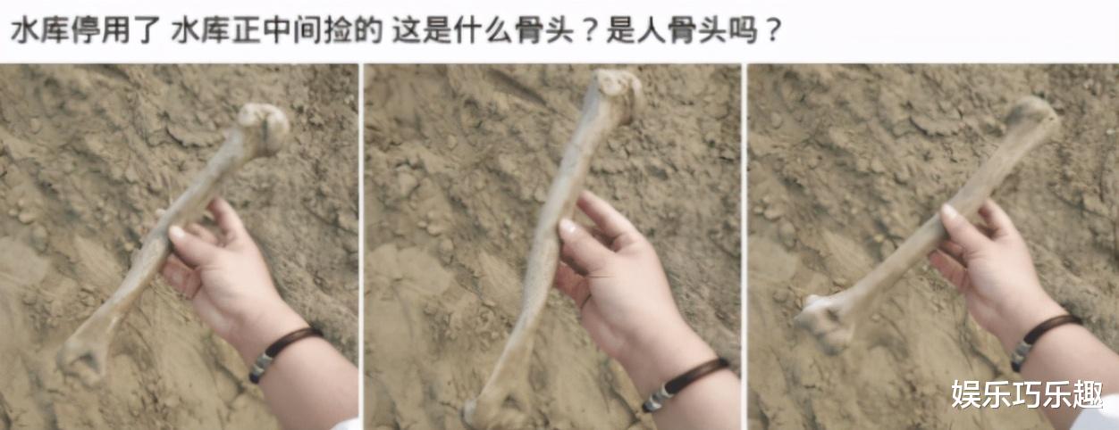 水库停用了,水库正中间捡的,这是什么骨头啊?太可怕了,哈哈哈 水库停用了,水库正中间捡的,这是什么骨头啊?太可怕了,哈哈哈