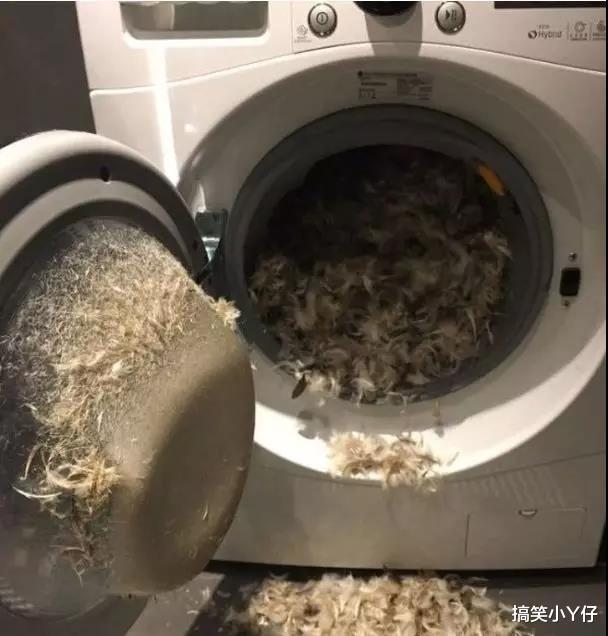 “老师给学生切蛋糕,好感动”有这样的老师真好! “老师给学生切蛋糕,好感动”有这样的老师真好!
