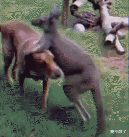“女朋友在家住了三天还不想走,是看上我哪儿了?”哈哈哈看上骨头了? “女朋友在家住了三天还不想走,是看上我哪儿了?”哈哈哈看上骨头了?