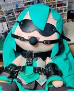 真是个初音啊
