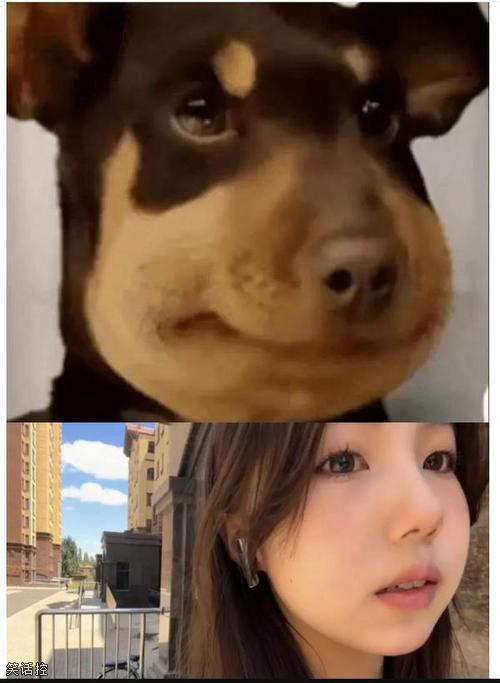 是不是一模一样