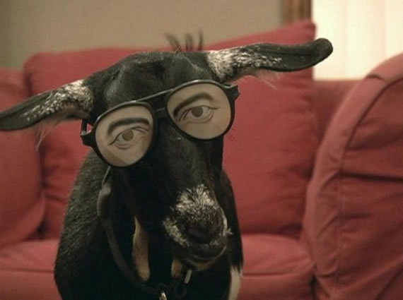 动物表演,惊险刺激。也很好看好玩。