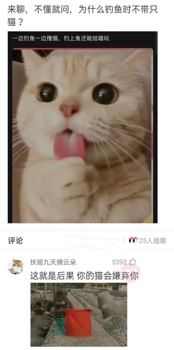 为什么钓鱼的时候不带只猫?神回复 为什么钓鱼的时候不带只猫?神回复