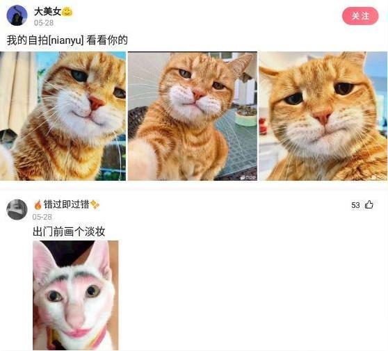 “在公司群匿名骂老板,结果只有我被开除了??哈哈哈笑死我了…” “在公司群匿名骂老板,结果只有我被开除了??哈哈哈笑死我了…”