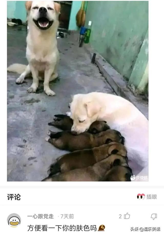 “爸爸说长头发的女孩最漂亮,但我却果断地选择了墨镜女子”哈哈 “爸爸说长头发的女孩最漂亮,但我却果断地选择了墨镜女子”哈哈