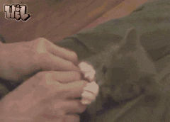 看我怎么收拾你 看我怎么收拾你