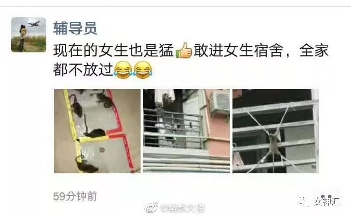 “亲！求求您把照片删了吧 ”某宝买了个假发，老板哭着打电话求删除买家秀？