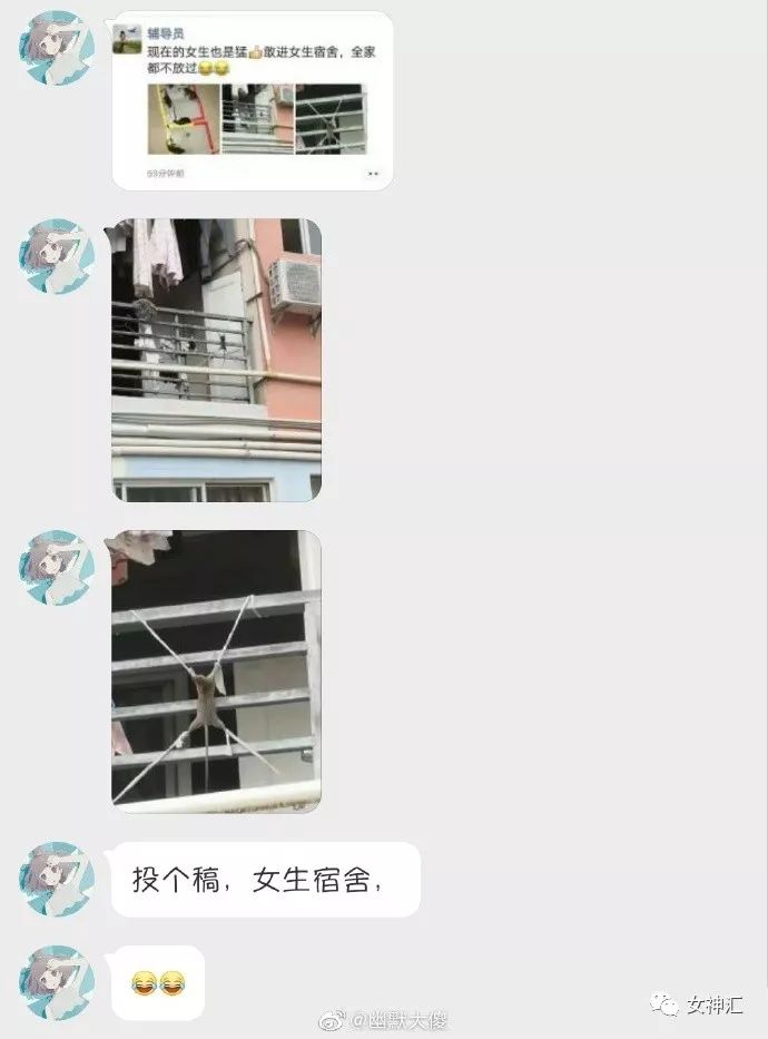 “亲！求求您把照片删了吧 ”某宝买了个假发，老板哭着打电话求删除买家秀？