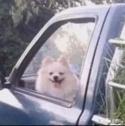 “亲！求求您把照片删了吧 ”某宝买了个假发，老板哭着打电话求删除买家秀？