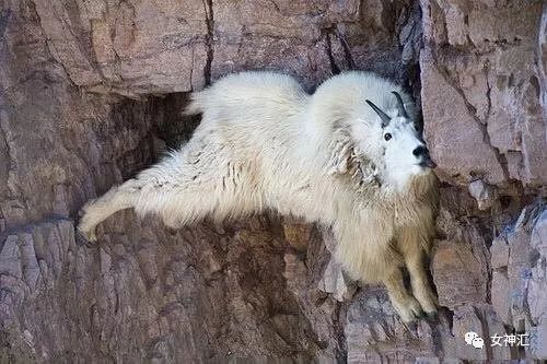 “亲！求求您把照片删了吧 ”某宝买了个假发，老板哭着打电话求删除买家秀？